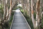 Scarborough NSWsustainable-landscaping-14.jpg; ?>